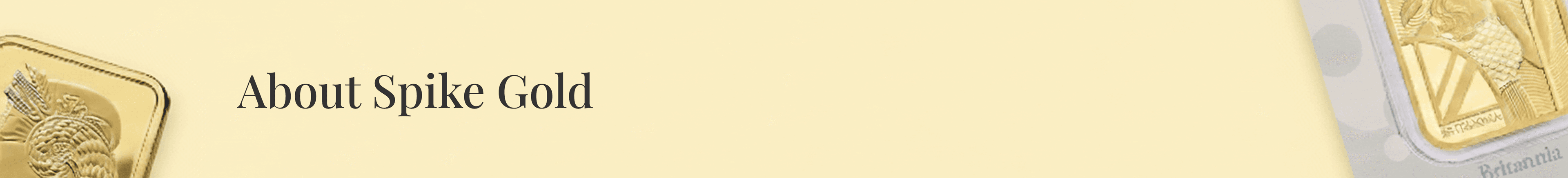 Product Banner